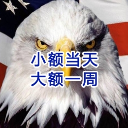 新野要账公司